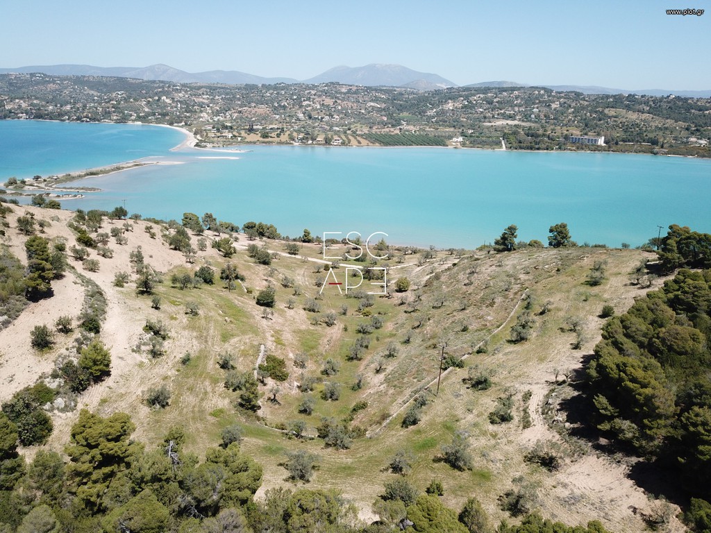Οικόπεδο 20.000 τ.μ. προς πώληση, Πορτοχέλι