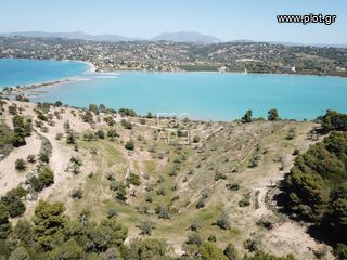 Οικόπεδο 20.000 τ.μ. για πώληση, Αργολίδα, Κρανίδι-thumb-1