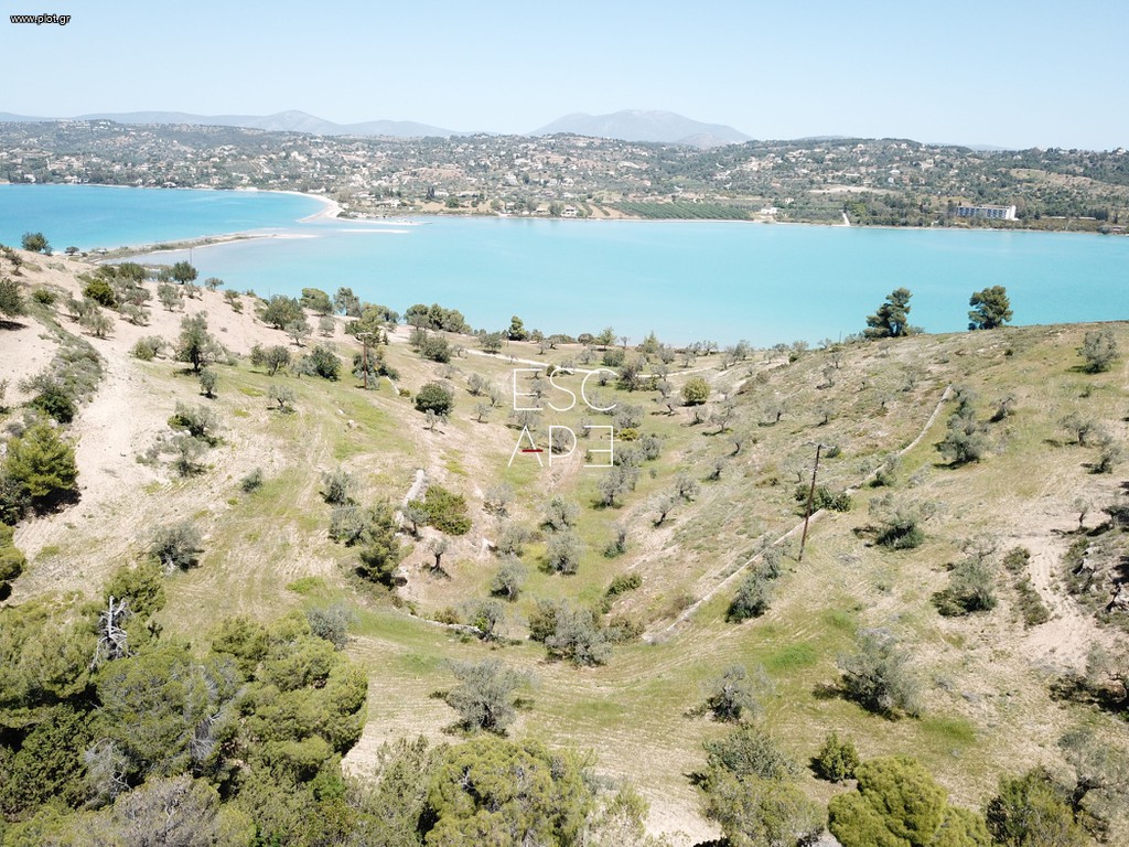 Οικόπεδο 20.000 τ.μ. προς πώληση, Πορτοχέλι