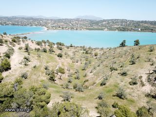 Οικόπεδο 20.000 τ.μ. για πώληση, Αργολίδα, Κρανίδι-thumb-3