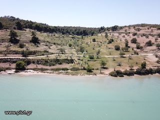 Οικόπεδο 20.000 τ.μ. για πώληση, Αργολίδα, Κρανίδι-thumb-5