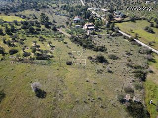 Οικόπεδο 7.956 τ.μ. για πώληση, Αργολίδα, Ερμιόνη-thumb-1