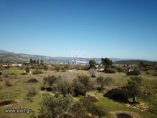 Οικόπεδο 7.956 τ.μ. για πώληση, Αργολίδα, Ερμιόνη-thumb-3