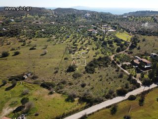 Οικόπεδο 7.956 τ.μ. για πώληση, Αργολίδα, Ερμιόνη-thumb-5