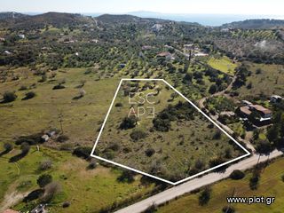 Οικόπεδο 7.956 τ.μ. για πώληση, Αργολίδα, Ερμιόνη-thumb-6