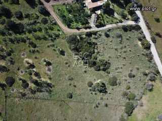 Οικόπεδο 7.956 τ.μ. για πώληση, Αργολίδα, Ερμιόνη-thumb-7