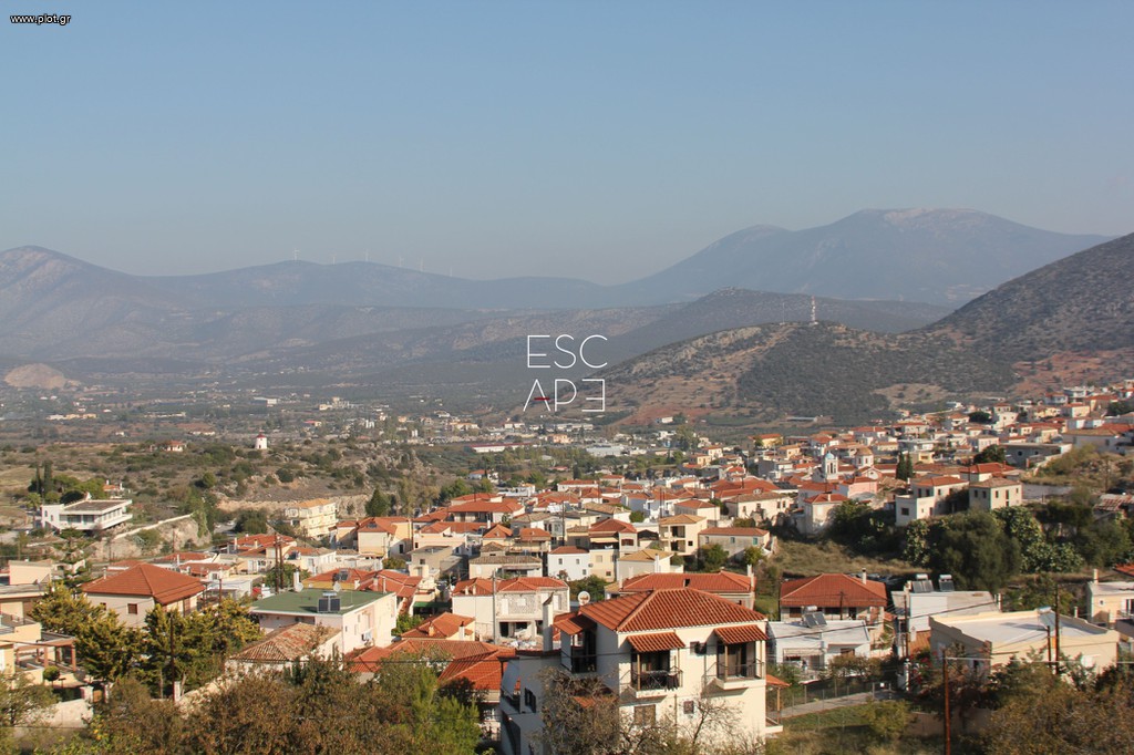 Μονοκατοικία 480 τ.μ. για πώληση, Αργολίδα, Κρανίδι