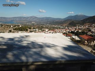 Μονοκατοικία 480 τ.μ. για πώληση, Αργολίδα, Κρανίδι-thumb-10