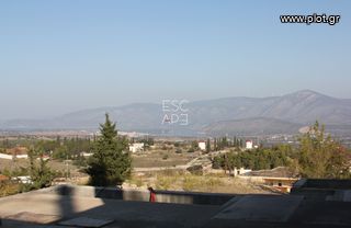 Μονοκατοικία 480 τ.μ. για πώληση, Αργολίδα, Κρανίδι-thumb-16