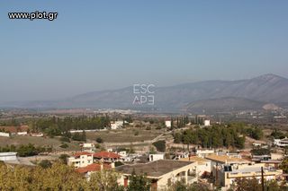 Μονοκατοικία 480 τ.μ. για πώληση, Αργολίδα, Κρανίδι-thumb-18