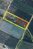 Parcel 2.000sqm for sale-Orfano » Orfani