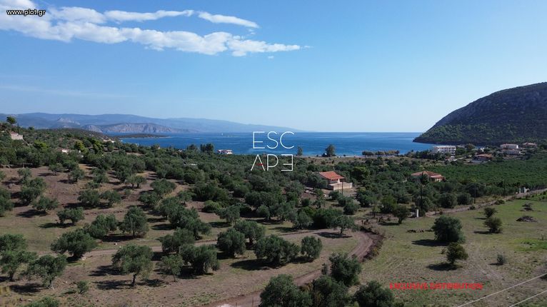 Μονοκατοικία 200 τ.μ. για πώληση, Αργολίδα, Ερμιόνη