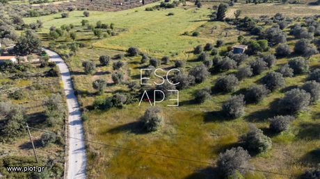Οικόπεδο 5.632 τ.μ. για πώληση