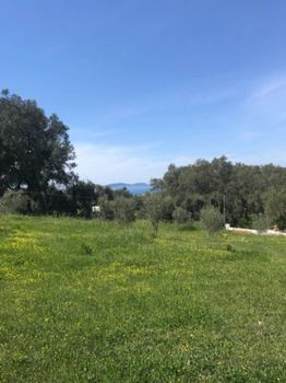 Οικόπεδο 4.345τ.μ. για πώληση-Κέρκυρα » Άγιος γεώργιος
