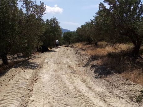 Οικόπεδο 10.720τ.μ. για πώληση-Κέρκυρα » Άγιος γεώργιος
