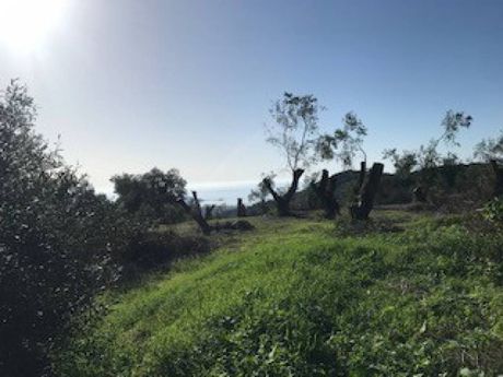 Οικόπεδο 2.443τ.μ. για πώληση-Κέρκυρα » Άγιος γεώργιος