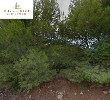 Land plot 1.600sqm for sale-Dionisos » Center