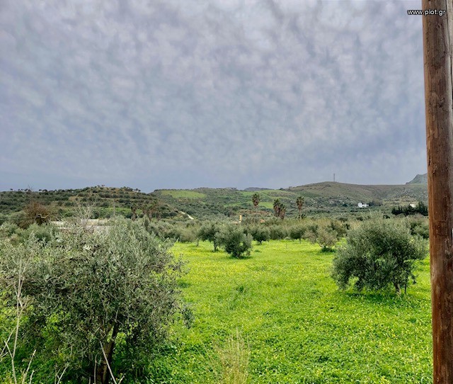 Οικόπεδο 7.800 τ.μ. πρός πώληση, Ν. Ρεθύμνου, Φοινίκας