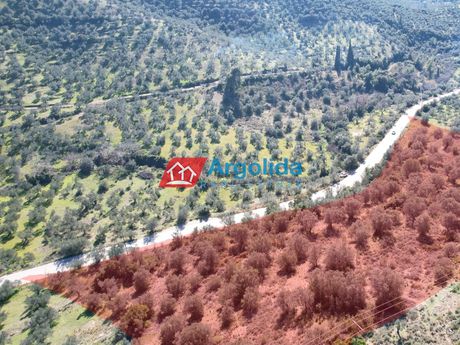 Αγροτεμάχια 15.000 τ.μ. για πώληση