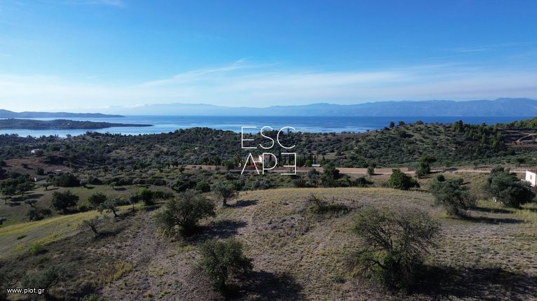 Οικόπεδο 10.600 τ.μ. για πώληση, Αργολίδα, Κρανίδι