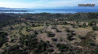 Οικόπεδο 10.600 τ.μ. για πώληση, Αργολίδα, Κρανίδι-thumb-2