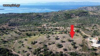 Οικόπεδο 10.600 τ.μ. για πώληση, Αργολίδα, Κρανίδι-thumb-3