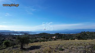 Οικόπεδο 10.600 τ.μ. για πώληση, Αργολίδα, Κρανίδι-thumb-4