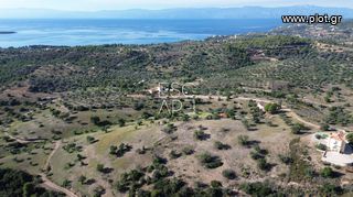 Οικόπεδο 10.600 τ.μ. για πώληση, Αργολίδα, Κρανίδι-thumb-7