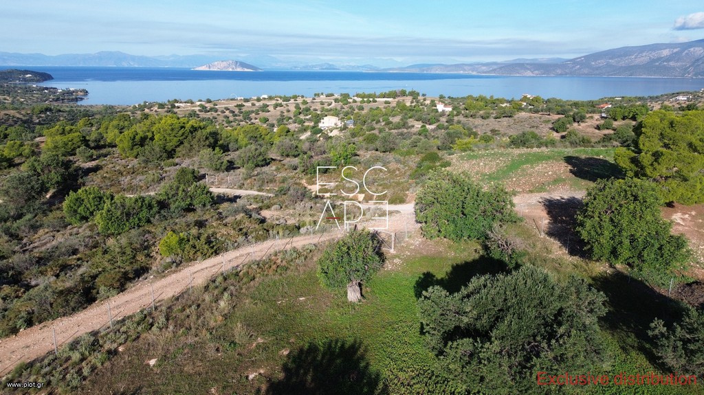 Οικόπεδο 4.005 τ.μ. προς πώληση, Δορούφι