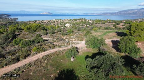 Οικόπεδο 4.005 τ.μ. για πώληση