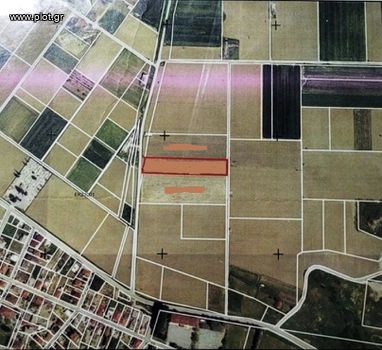Αγροτεμάχια 6.000τ.μ. για πώληση-Κορινός » Κέντρο