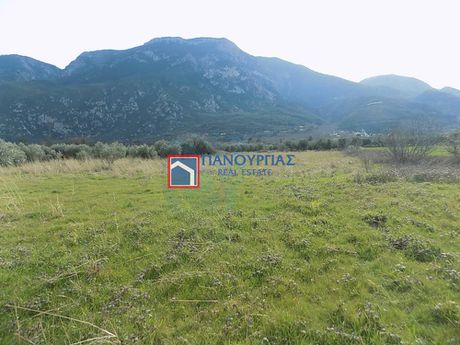 Αγροτεμάχια 3.027τ.μ. για πώληση-Υπάτη » Αργυροχώρι