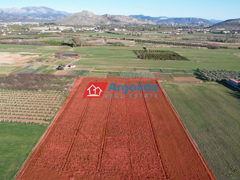Αγροτεμάχια 18.200 τ.μ. προς πώληση, Κέντρο Νέας Κίου