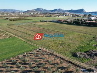 Αγροτεμάχια 18.200 τ.μ. προς πώληση, Κέντρο Νέας Κίου-thumb-23