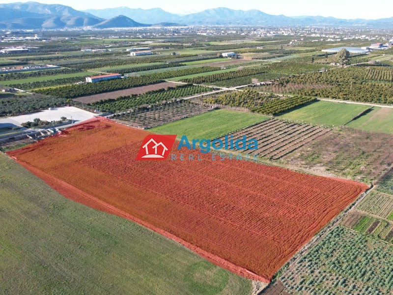 Αγροτεμάχια 18.200 τ.μ. προς πώληση, Κέντρο Νέας Κίου