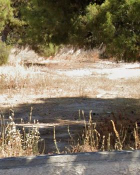 Οικόπεδο 681 τ.μ. για πώληση