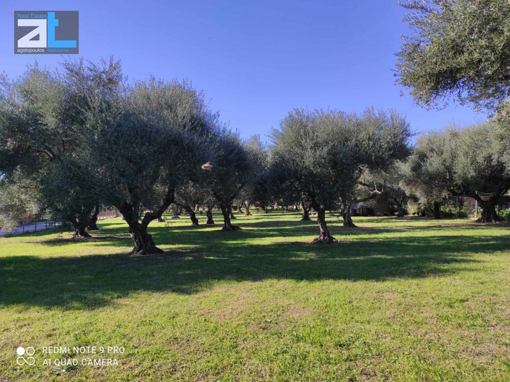 Οικόπεδο 3.440 τ.μ. προς πώληση, Αχαΐα, Πάτρα