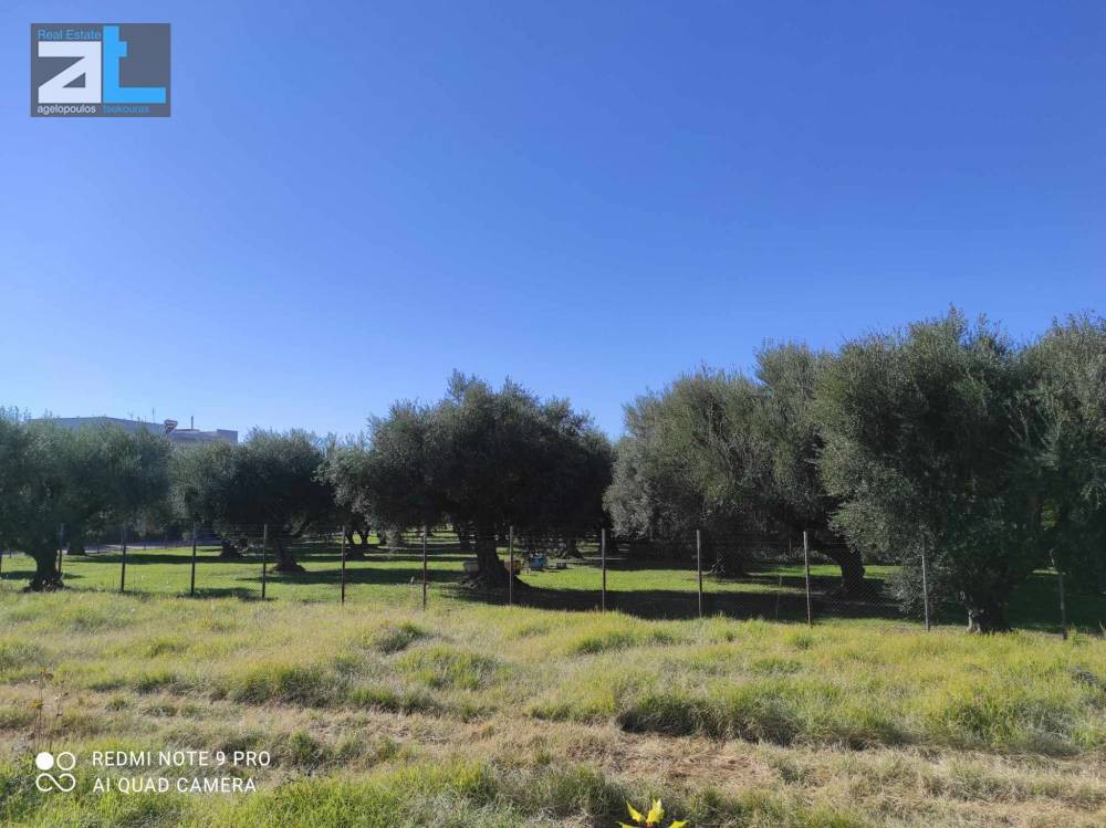 Οικόπεδο 3.440 τ.μ. προς πώληση, Αχαΐα, Πάτρα