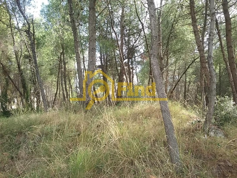 Οικόπεδο 790 τ.μ. πρός πώληση, Αθήνα - Βόρεια Προάστια, Διόνυσος