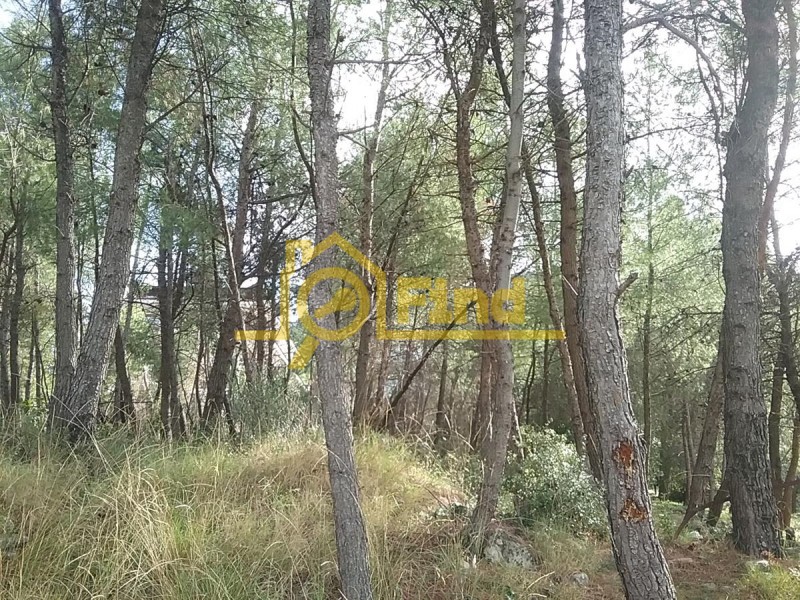 Οικόπεδο 790 τ.μ. πρός πώληση, Αθήνα - Βόρεια Προάστια, Διόνυσος