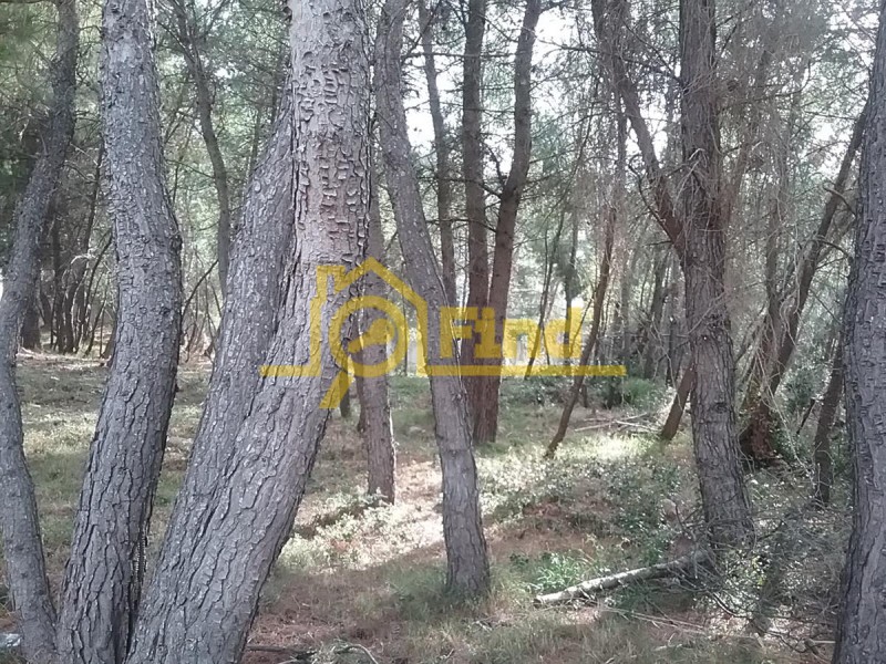 Οικόπεδο 790 τ.μ. πρός πώληση, Αθήνα - Βόρεια Προάστια, Διόνυσος