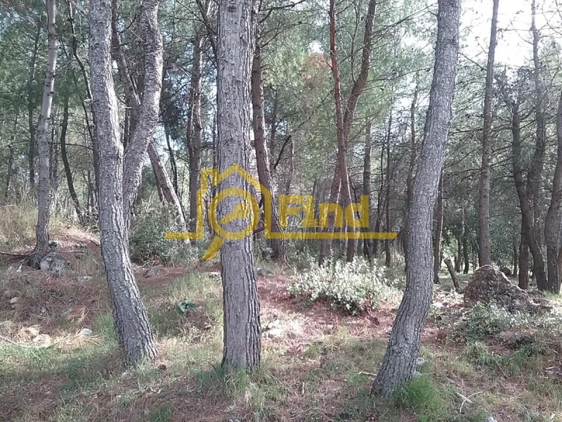 Οικόπεδο 790 τ.μ. πρός πώληση, Αθήνα - Βόρεια Προάστια, Διόνυσος