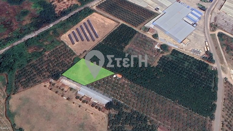 Αγροτεμάχια 1.917 τ.μ. για πώληση, Ημαθία, Νάουσα