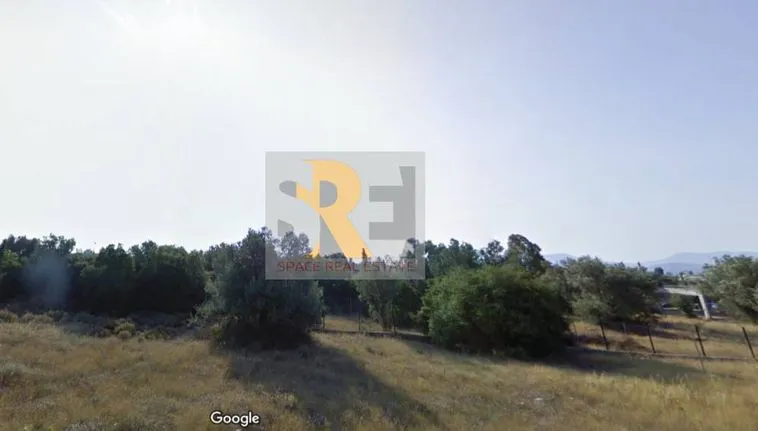 Land plot 886 sqm for sale, Athens - East, Paiania