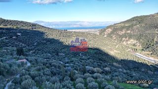 Διαμέρισμα 300 τ.μ. για πώληση, Αχαΐα, Αίγιο-thumb-5