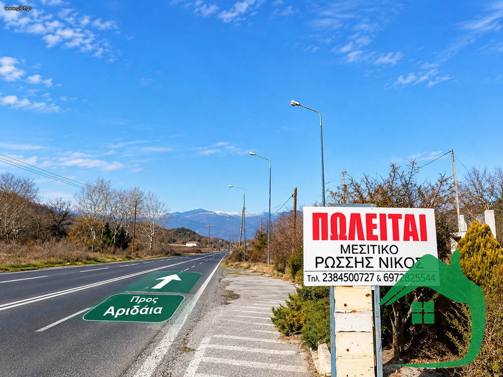 Μονοκατοικία 260 τ.μ. πρός πώληση, Πέλλα, Αριδαία