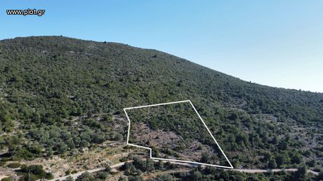 Parcel 10.000sqm for sale-Lefkada » Apollonio