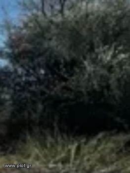 Οικόπεδο 642τ.μ. για πώληση-Αργυρούπολη » Κέντρο