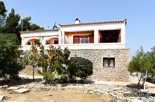 Μονοκατοικία 220 τ.μ. για πώληση, Αργολίδα, Κρανίδι-thumb-15