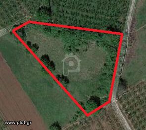 Parcel 5.100 sqm for sale, Imathia, Veroia